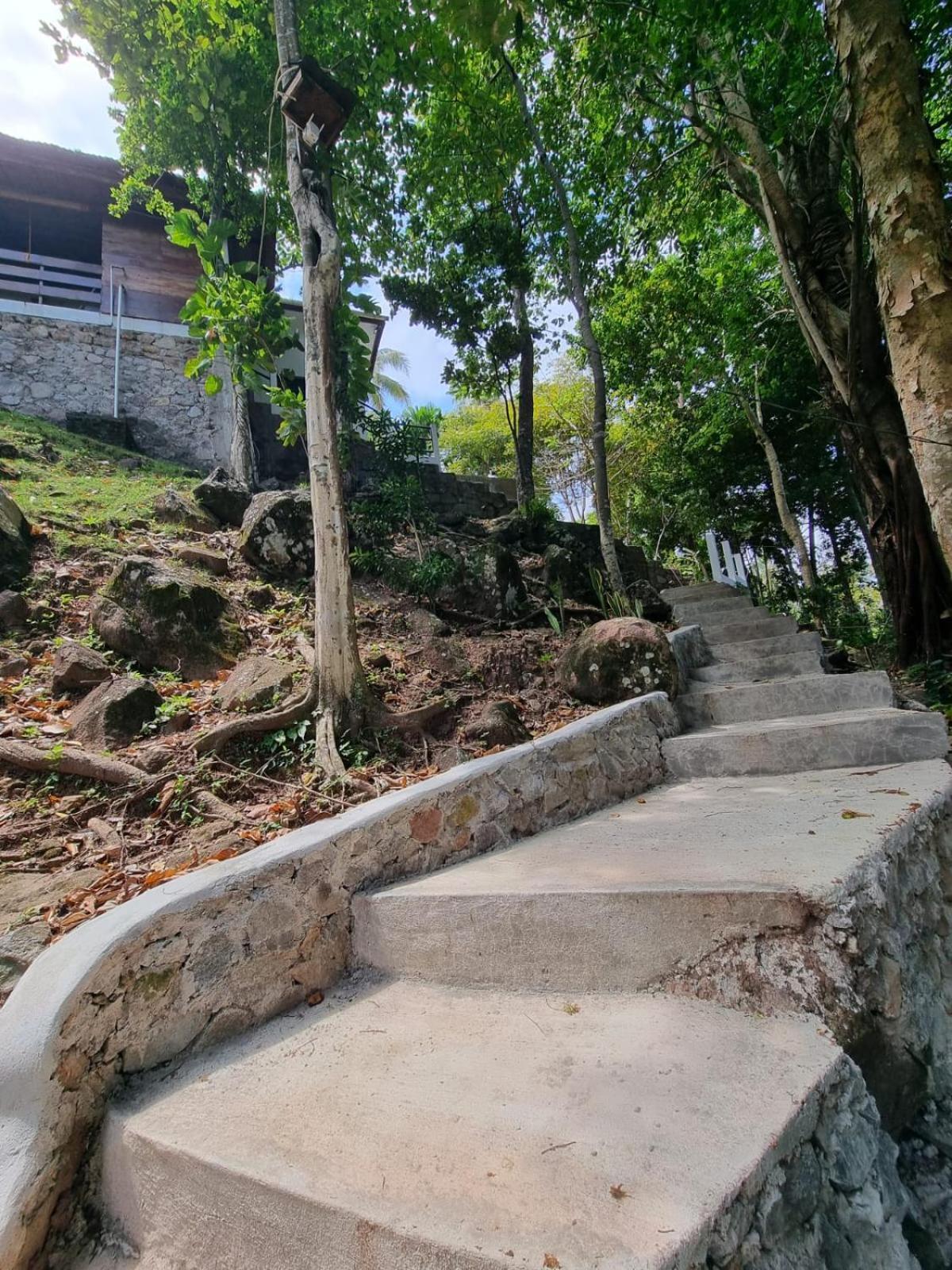 树顶旅馆别墅民宿 沙璜 外观 照片