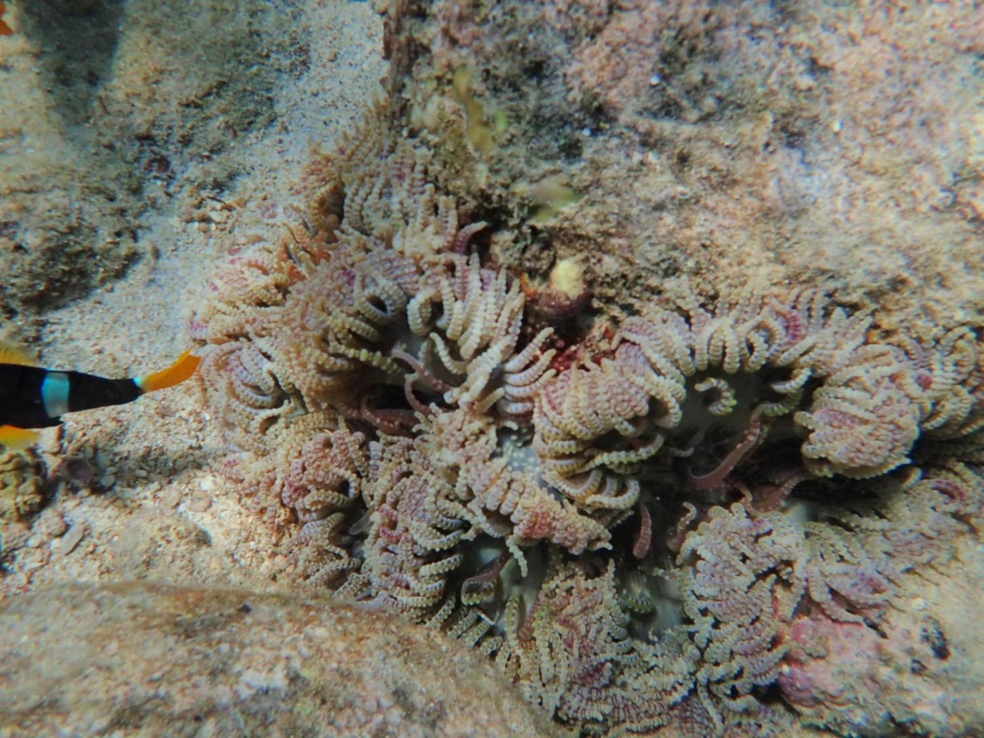 树顶旅馆别墅民宿 沙璜 外观 照片
